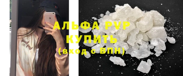 ECSTASY Алзамай