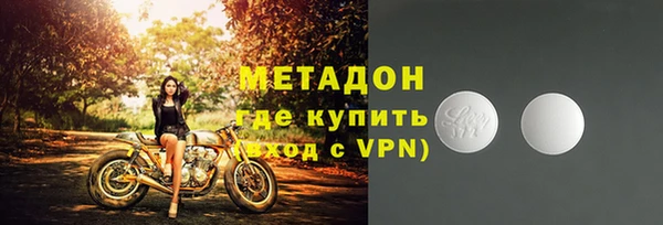 сатива Гатчина