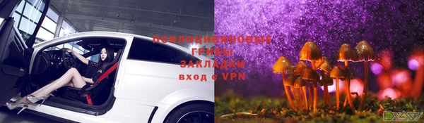 mdpv Алексин
