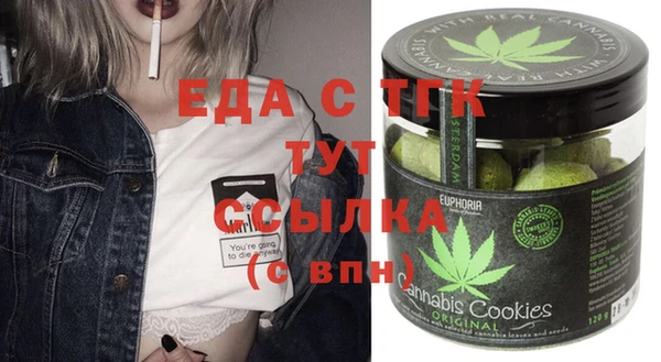 ECSTASY Алзамай